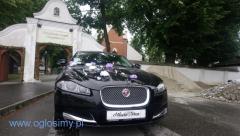 Jaguar XF do ślubu Kraków i okolice